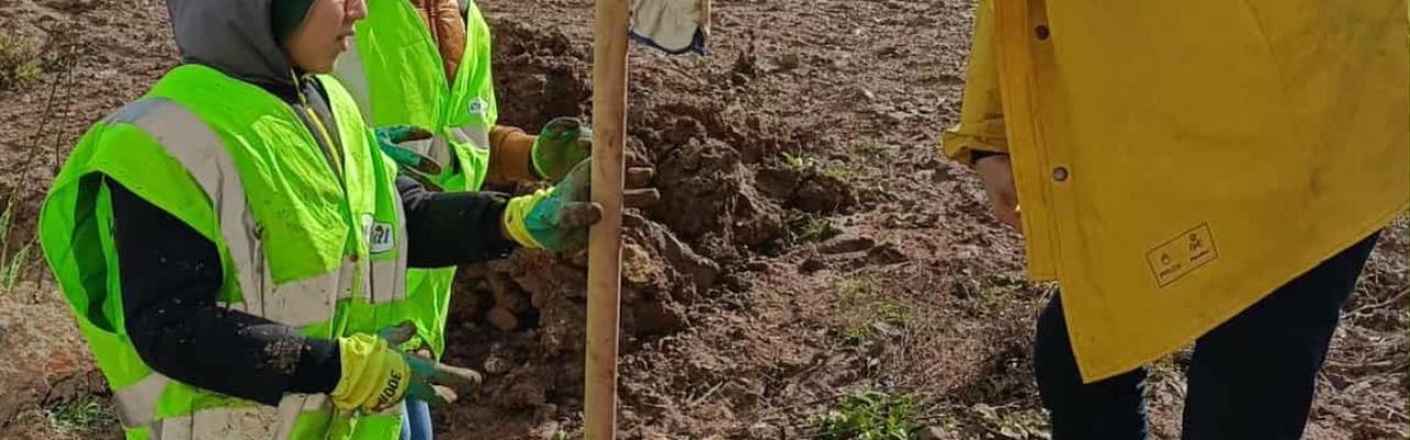 Reboisement national : le Groupe SERPORT pleinement engagé pour une Algérie verte