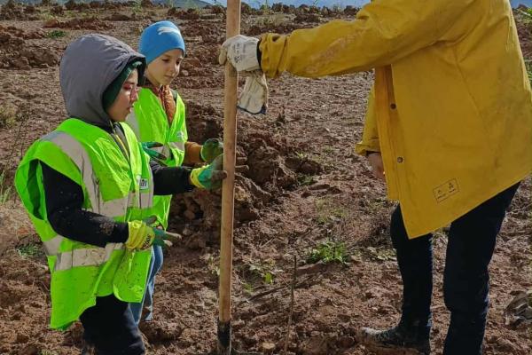 Reboisement national : le Groupe SERPORT pleinement engagé pour une Algérie verte